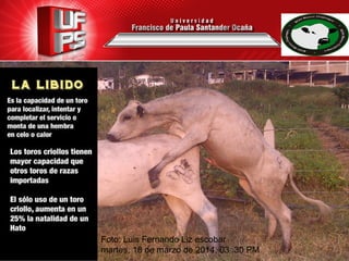 Foto: Luis Fernando Liz escobar
martes, 18‎ de marzo de 2014, 03 :30 PM
 