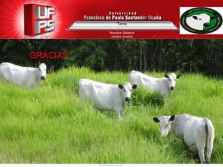 Tema
Nombre Materia
Nombre Docente
GRACIAS
 