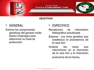 • GENERAL
Estimar los componentes
genéticos del ganado criollo
blanco Orejinegro para
determinar su línea de
producción
• ESPECIFICO
Recolección de información
bibliográfica actualizada
Exponer una línea genética que
establezca la procedencia de
la raza bon
Analizar las razas que
intervinieron en la formación
de la raza bon y la inclinación
productiva de la misma.
 
OBJETIVOS
 