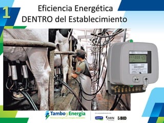 Eficiencia Energética DENTRO del Establecimiento  