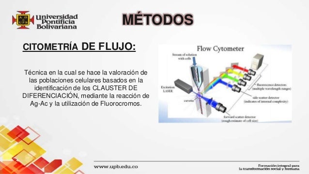 cadenas livianas kappa en suero immunoglobulin k light chain deficiency a rare but cadenas livianas kappa en suero immunoglobulin k light chain deficiency a rare but