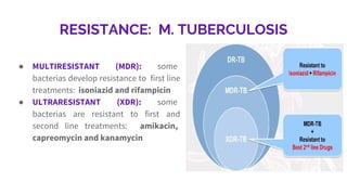RESISTANCE: M. TUBERCULOSIS
● MULTIRESISTANT (MDR): some
bacterias develop resistance to first line
treatments: isoniazid and rifampicin
● ULTRARESISTANT (XDR): some
bacterias are resistant to first and
second line treatments: amikacin,
capreomycin and kanamycin
 