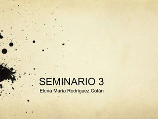 SEMINARIO 3
Elena María Rodríguez Cotán
 