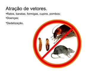 Atração de vetores.
•Ratos, baratas, formigas, cupins, pombos;
•Doenças;
•Dedetização.
 