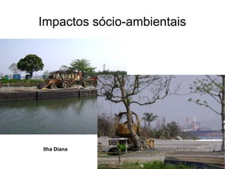 Impactos sócio-ambientais
Ilha Diana
 