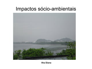 Impactos sócio-ambientais
Ilha Diana
 
