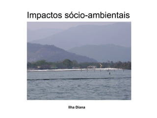 Impactos sócio-ambientais
Ilha Diana
 