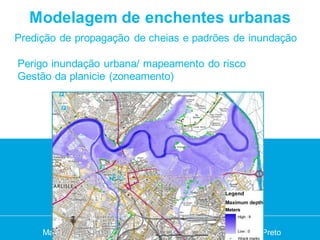 Modelagem de enchentes urbanas
Predição de propagação de cheias e padrões de inundação

Perigo inundação urbana/ mapeamento do risco
Gestão da planicie (zoneamento)




                         Dr. Luigia Brandimarte
                          Dr. Luigia Brandimarte
     Março 2012 --Seminário Chuvas e Desastres Urbanos --Ouro Preto
     Março 2012 Seminário Chuvas e Desastres Urbanos Ouro Preto
 
