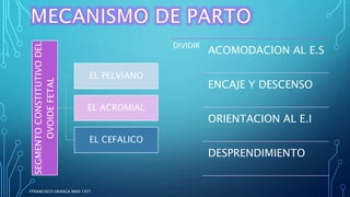 SEGMENTO
CONSTITUTIVO
DEL
OVOIDE
FETAL
EL PELVIANO
EL ACROMIAL
EL CEFALICO
DIVIDIR
ACOMODACION AL E.S
ENCAJE Y DESCENSO
ORIENTACION AL E.I
DESPRENDIMIENTO
FFRANCISCO URANGA IMAS 1971
 