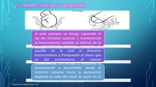 Por efecto de las contracciones uterinas ,
el polo pelviano se encaja siguiendo el
eje del estrecho superior y manteniendo
al bitrocantereo paralelo al oblicuo de la
pelvis
La presentación pelviana encajada es
aquella en la cual el diámetro
botrocantereo a franqueado al plano que
va del promontorio al culmen
retropubiano
Consecuencia del encaje y descenso la
presentación a descendido desde el
estrecho superior hasta la excavación
llegando al codo del canal de parto en el
mismo diámetro oblicuo inicial
FFRANCISCO URANGA IMAS 1971
 