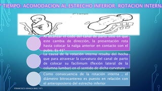 Al alcanzar el codo del canal de parto sitio en que
este cambia de dirección, la presentación rota
hasta colocar la nalga anterior en contacto con el
pubis. Es 45º
La causa de la rotación interna resulta del hecha
que para atravesar la curvatura del canal de parto
de colocar su facilimum (flexión lateral de la
columna lumbar) en el sentido de dicha curvatura
Como consecuencia de la rotación interna , el
diámetro bitrocantereo es puesto en relación con
el anteroposterio del estrecho inferior
FFRANCISCO URANGA IMAS 1971
 