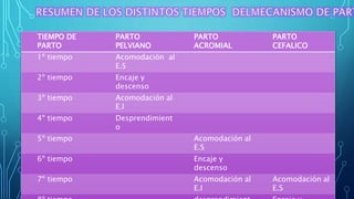 FFRANCISCO URANGA IMAS 1971
TIEMPO DE
PARTO
PARTO
PELVIANO
PARTO
ACROMIAL
PARTO
CEFALICO
1º tiempo Acomodación al
E.S
2º tiempo Encaje y
descenso
3º tiempo Acomodación al
E.I
4º tiempo Desprendimient
o
5º tiempo Acomodación al
E.S
6º tiempo Encaje y
descenso
7º tiempo Acomodación al
E.I
Acomodación al
E.S
 