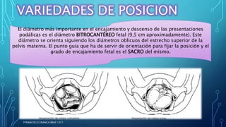 FFRANCISCO URANGA IMAS 1971
VARIEDADES DE POSICION
El diámetro más importante en el encajamiento y descenso de las presentaciones
podálicas es el diámetro BITROCANTÉREO fetal (9,5 cm aproximadamente). Este
diámetro se orienta siguiendo los diámetros oblicuos del estrecho superior de la
pelvis materna. El punto guía que ha de servir de orientación para fijar la posición y el
grado de encajamiento fetal es el SACRO del mismo.
 