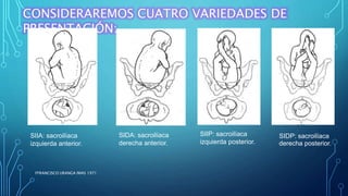 FFRANCISCO URANGA IMAS 1971
SIIP: sacroilíaca
izquierda posterior.
CONSIDERAREMOS CUATRO VARIEDADES DE
PRESENTACIÓN:
SIIA: sacroilíaca
izquierda anterior.
SIDA: sacroilíaca
derecha anterior.
SIDP: sacroilíaca
derecha posterior.
 