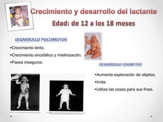 Crecimiento lento.
Crecimiento encefálico y mielinización.
Pasos inseguros.
Aumenta exploración de objetos.
Imita.
Utiliza las cosas para sus fines.
 