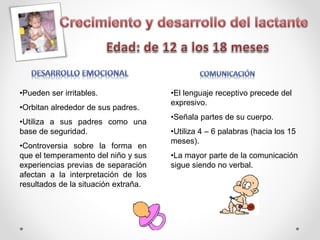 •Pueden ser irritables.
•Orbitan alrededor de sus padres.
•Utiliza a sus padres como una
base de seguridad.
•Controversia sobre la forma en
que el temperamento del niño y sus
experiencias previas de separación
afectan a la interpretación de los
resultados de la situación extraña.
•El lenguaje receptivo precede del
expresivo.
•Señala partes de su cuerpo.
•Utiliza 4 – 6 palabras (hacia los 15
meses).
•La mayor parte de la comunicación
sigue siendo no verbal.
 