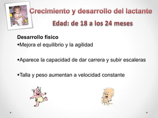 Desarrollo físico
Mejora el equilibrio y la agilidad
Aparece la capacidad de dar carrera y subir escaleras
Talla y peso aumentan a velocidad constante
 