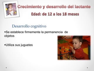 Desarrollo cognitivo
Se establece firmemente la permanencia de
objetos
Utiliza sus juguetes
 