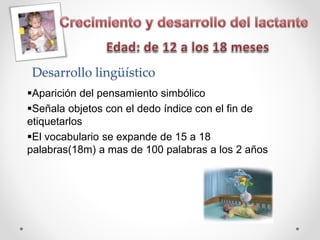Desarrollo lingüístico
Aparición del pensamiento simbólico
Señala objetos con el dedo índice con el fin de
etiquetarlos
El vocabulario se expande de 15 a 18
palabras(18m) a mas de 100 palabras a los 2 años
 