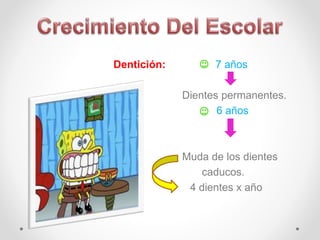 Dentición: 7 años
Dientes permanentes.
6 años
Muda de los dientes
caducos.
4 dientes x año
 