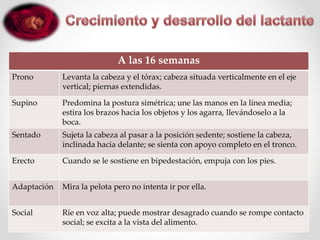 A las 16 semanas
Prono Levanta la cabeza y el tórax; cabeza situada verticalmente en el eje
vertical; piernas extendidas.
Supino Predomina la postura simétrica; une las manos en la línea media;
estira los brazos hacia los objetos y los agarra, llevándoselo a la
boca.
Sentado Sujeta la cabeza al pasar a la posición sedente; sostiene la cabeza,
inclinada hacia delante; se sienta con apoyo completo en el tronco.
Erecto Cuando se le sostiene en bipedestación, empuja con los pies.
Adaptación Mira la pelota pero no intenta ir por ella.
Social Ríe en voz alta; puede mostrar desagrado cuando se rompe contacto
social; se excita a la vista del alimento.
 