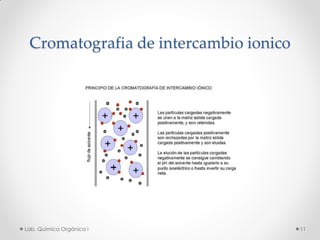 Cromatografia de intercambio ionico
11Lab. Química Orgánica l
 