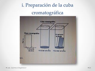 i. Preparación de la cuba
cromatográfica
25Lab. Química Orgánica l
 