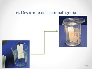 iv. Desarrollo de la cromatografía
31Lab. Química Orgánica l
 