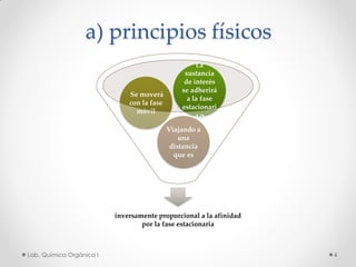 a) principios físicos
inversamente proporcional a la afinidad
por la fase estacionaria
Viajando a
una
distancia
que es
Se moverá
con la fase
móvil
La
sustancia
de interés
se adherirá
a la fase
estacionari
a o
4Lab. Química Orgánica l
 