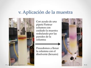 v. Aplicación de la muestra
Con ayuda de una
pipeta Pasteur
echamos con
cuidado la muestra
resbalando por las
paredes de la
columna
Procedemos a llenar
la columna con el
disolvente (hexano)
43Lab. Química Orgánica l
 