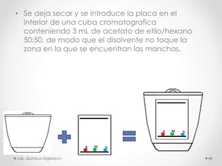 • Se deja secar y se introduce la placa en el
interior de una cuba cromatografica
conteniendo 3 mL de acetato de etilo/hexano
50:50, de modo que el disolvente no toque la
zona en la que se encuentran las manchas.
48Lab. Química Orgánica l
 