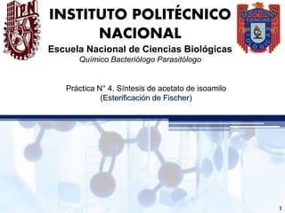 Práctica N° 4. Síntesis de acetato de isoamilo
(
INSTITUTO POLITÉCNICO
NACIONAL
Escuela Nacional de Ciencias Biológicas
Químico Bacteriólogo Parasitólogo
1
 