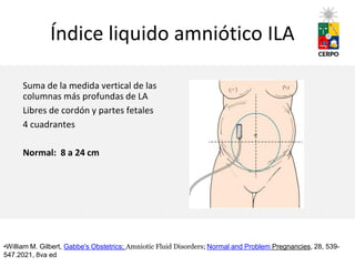 Ila Normal seminario-63-evaluacion-de-liquido-amniotico_archivo.pdf