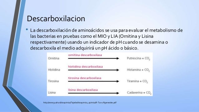 la paroxetina cambia el metabolismo mujeres
