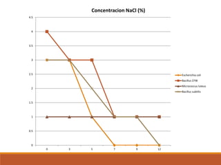 0
0.5
1
1.5
2
2.5
3
3.5
4
4.5
0 3 5 7 9 12
Concentracion NaCl (%)
Escherichia coli
Bacillus CFW
Micrococcus luteus
Bacillus subtilis
 