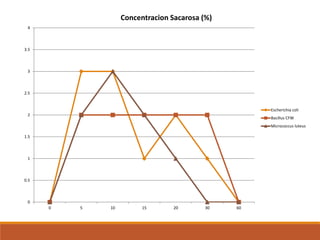0
0.5
1
1.5
2
2.5
3
3.5
4
0 5 10 15 20 30 60
Concentracion Sacarosa (%)
Escherichia coli
Bacillus CFW
Micrococcus luteus
 