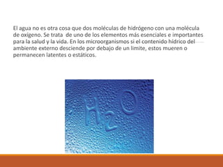 El agua no es otra cosa que dos moléculas de hidrógeno con una molécula
de oxígeno. Se trata de uno de los elementos más esenciales e importantes
para la salud y la vida. En los microorganismos si el contenido hídrico del
ambiente externo desciende por debajo de un limite, estos mueren o
permanecen latentes o estáticos.
 