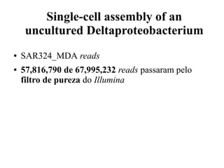 Single-cell assembly of an 
uncultured Deltaproteobacterium 
● SAR324_MDA reads 
● 57,816,790 de 67,995,232 reads passaram pelo 
filtro de pureza do Illumina 
 