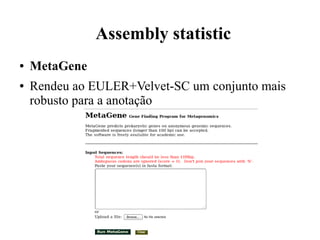 Assembly statistic 
● MetaGene 
● Rendeu ao EULER+Velvet-SC um conjunto mais 
robusto para a anotação 
 