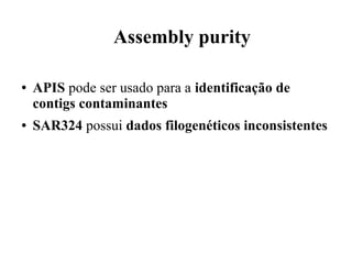 Assembly purity 
● APIS pode ser usado para a identificação de 
contigs contaminantes 
● SAR324 possui dados filogenéticos inconsistentes 
 
