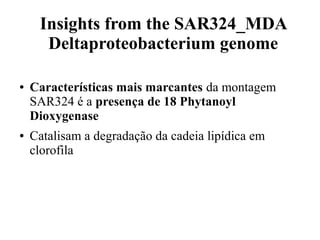 Insights from the SAR324_MDA 
Deltaproteobacterium genome 
● Características mais marcantes da montagem 
SAR324 é a presença de 18 Phytanoyl 
Dioxygenase 
● Catalisam a degradação da cadeia lipídica em 
clorofila 
 