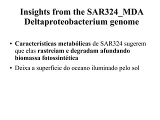 Insights from the SAR324_MDA 
Deltaproteobacterium genome 
● Características metabólicas de SAR324 sugerem 
que elas rastreiam e degradam afundando 
biomassa fotossintética 
● Deixa a superfície do oceano iluminado pelo sol 
 
