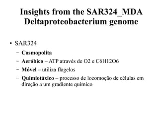 Insights from the SAR324_MDA 
Deltaproteobacterium genome 
● SAR324 
– Cosmopolita 
– Aeróbico – ATP através de O2 e C6H12O6 
– Móvel – utiliza flagelos 
– Quimiotáxico – processo de locomoção de células em 
direção a um gradiente químico 
 