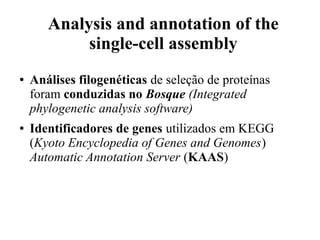 Analysis and annotation of the 
single-cell assembly 
● Análises filogenéticas de seleção de proteínas 
foram conduzidas no Bosque (Integrated 
phylogenetic analysis software) 
● Identificadores de genes utilizados em KEGG 
(Kyoto Encyclopedia of Genes and Genomes) 
Automatic Annotation Server (KAAS) 
 