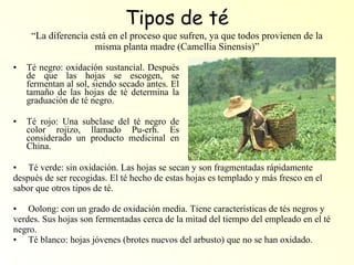 Tipos de té “La diferencia está en el proceso que sufren, ya que todos provienen de la misma planta madre (Camellia Sinensis)” Té negro: oxidación sustancial. Después de que las hojas se escogen, se fermentan al sol, siendo secado antes. El tamaño de las hojas de té determina la graduación de té negro.  Té rojo: Una subclase del té negro de color rojizo, llamado Pu-erh. Es considerado un producto medicinal en China.  Té verde: sin oxidación. Las hojas se secan y son fragmentadas rápidamente después de ser recogidas. El té hecho de estas hojas es templado y más fresco en el sabor que otros tipos de té.  Oolong: con un grado de oxidación media. Tiene características de tés negros y verdes. Sus hojas son fermentadas cerca de la mitad del tiempo del empleado en el té negro.  Té blanco: hojas jóvenes (brotes nuevos del arbusto) que no se han oxidado. 
