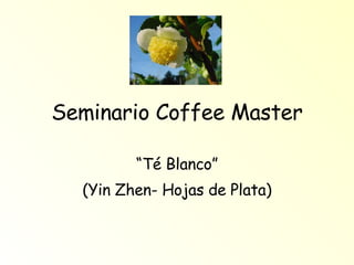 Seminario Coffee Master “ Té Blanco” (Yin Zhen- Hojas de Plata) 