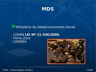 UFBA – Biotecnologia: Bioética FOME
MDS
>Ministério do Desenvolvimento Social
- LOSAN LEI Nº 11.346/2006.
- Fome Zero
- CONSEA
 