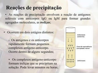 Reações de precipitação
• As reações de precipitação envolvem a reação de antígenos
solúveis com anticorpos IgG ou IgM para formar grandes
agregados moleculares, as treliças;
• Ocorrem em dois estágios distintos:
• Os antígenos e os anticorpos
rapidamente formam pequenos
complexos antígeno-anticorpo.
Ocorre dentro de alguns segundos;
• Os complexos antígeno-anticorpo
formam treliças que se precipitam na
solução. Pode levar minutos ou horas;
 