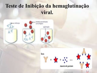 Teste de Inibição da hemaglutinação
viral.
 
