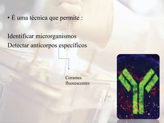 • É uma técnica que permite :
Identificar microrganismos
Detectar anticorpos específicos
Corantes
fluorescentes
 